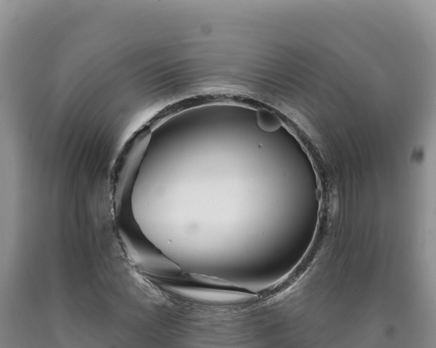 X0000090721022200707271148
