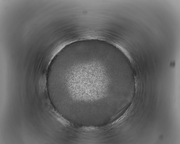 X0000090721023200707271148