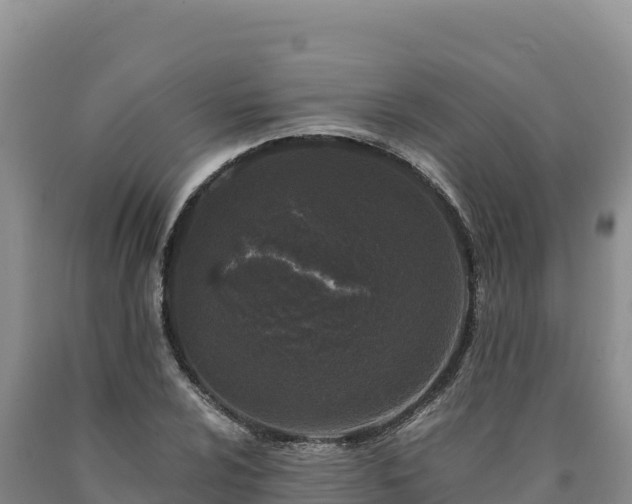 X0000090721024200707271148
