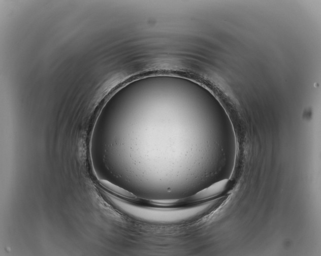 X0000090721025200707271148