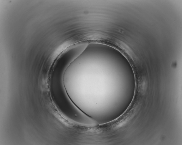 X0000090721026200707271148