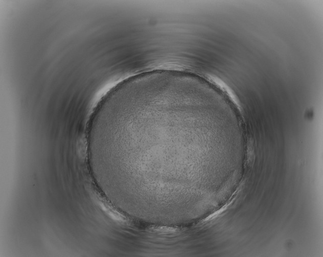 X0000090721027200707271148