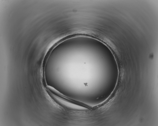 X0000090721028200707271148