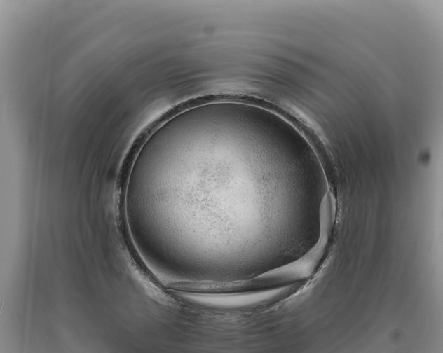 X0000090721029200707271148