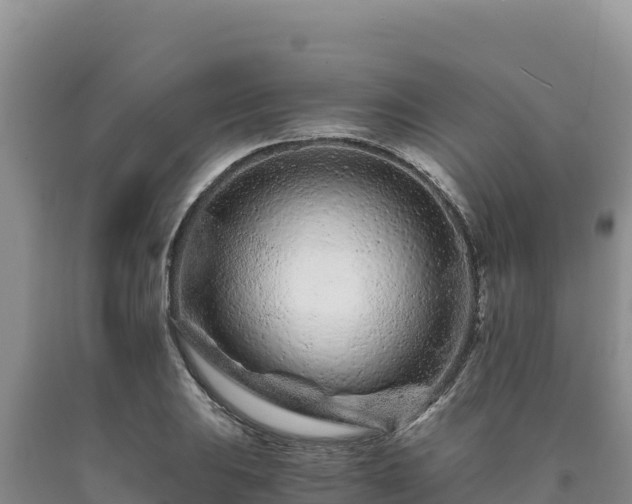 X0000090721031200707271148