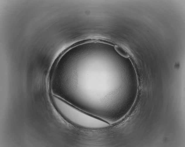 X0000090721032200707271148