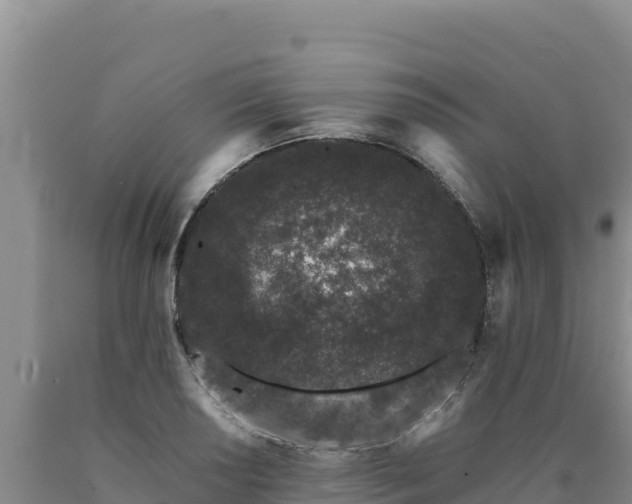 X0000090721034200707271148