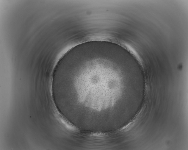 X0000090721035200707271148