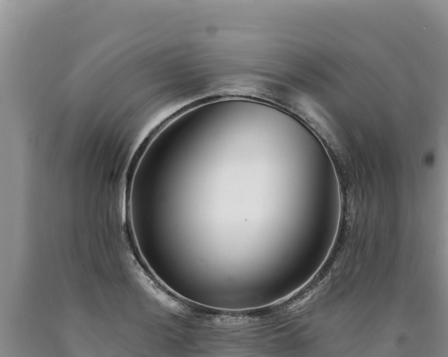 X0000090721036200707271148
