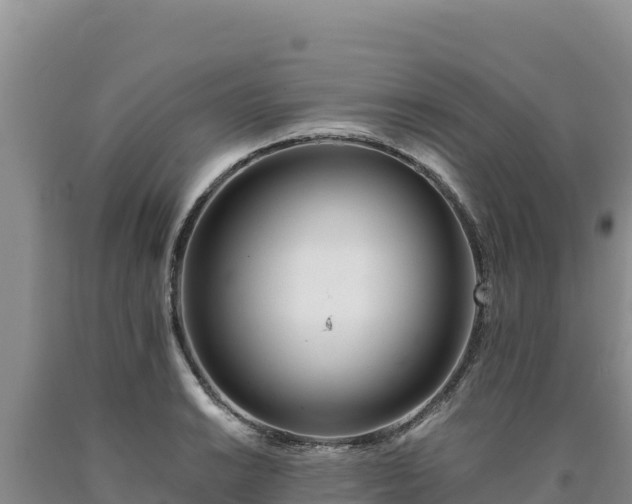 X0000090721038200707271148