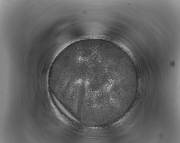 X0000090721039200707271148