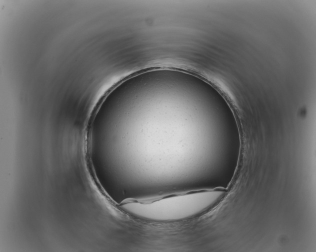 X0000090721040200707271148