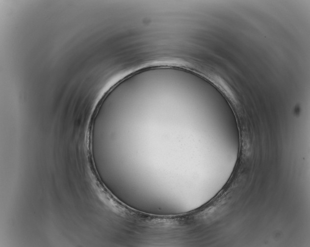 X0000090721044200707271148