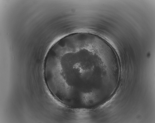 X0000090721045200707271148