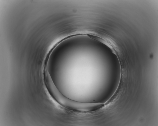 X0000090721046200707271148