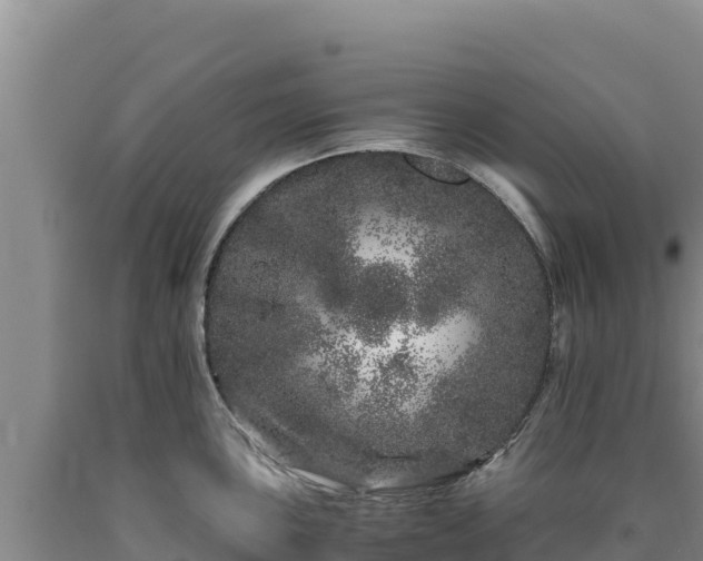 X0000090721051200707271148