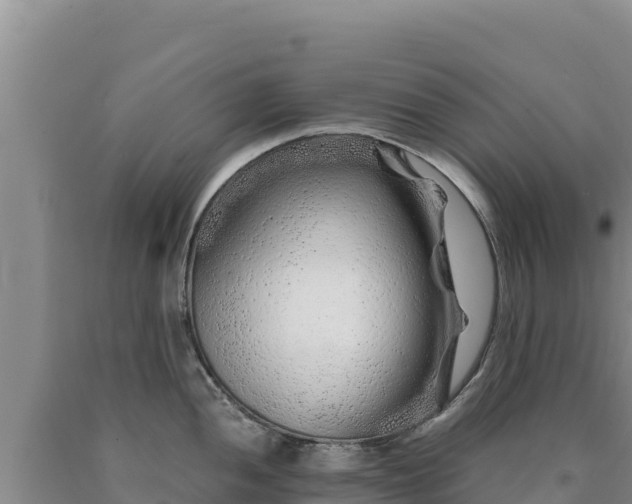 X0000090721052200707271148