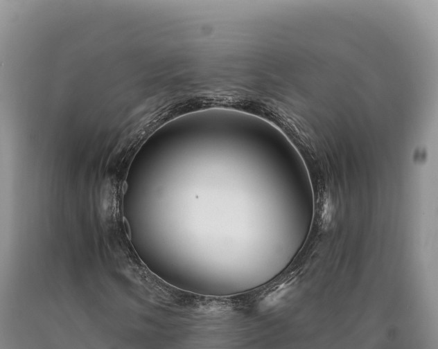 X0000090721058200707271148
