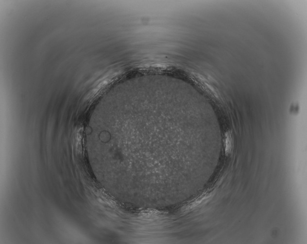 X0000090721059200707271148