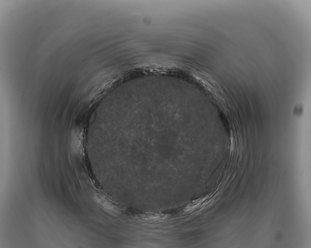 X0000090721060200707271148