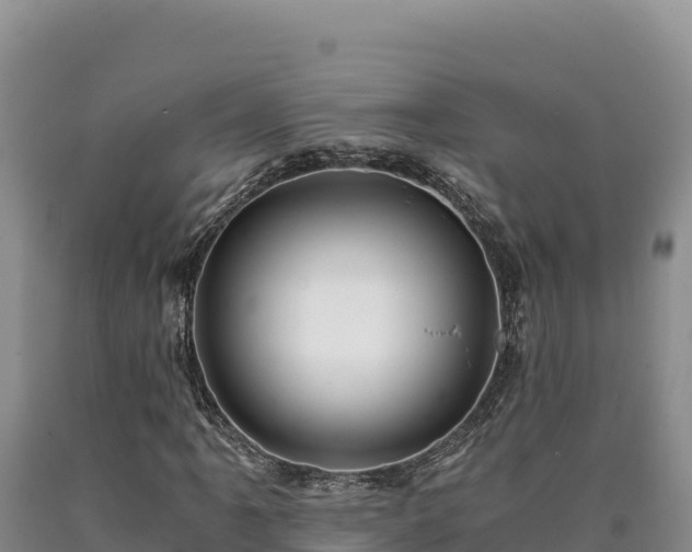 X0000090721061200707271148