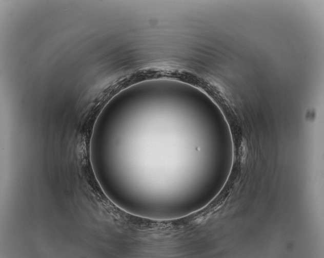 X0000090721062200707271148