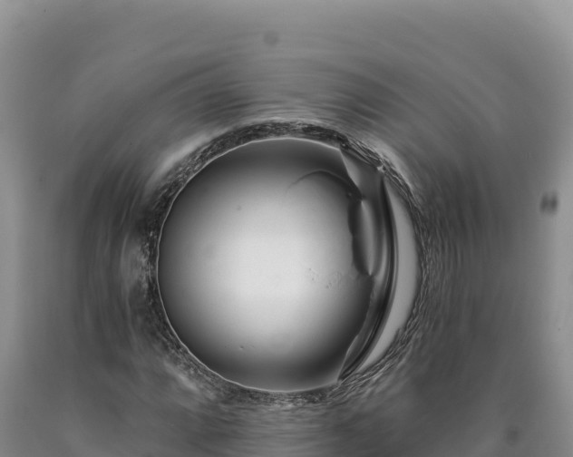 X0000090721064200707271148