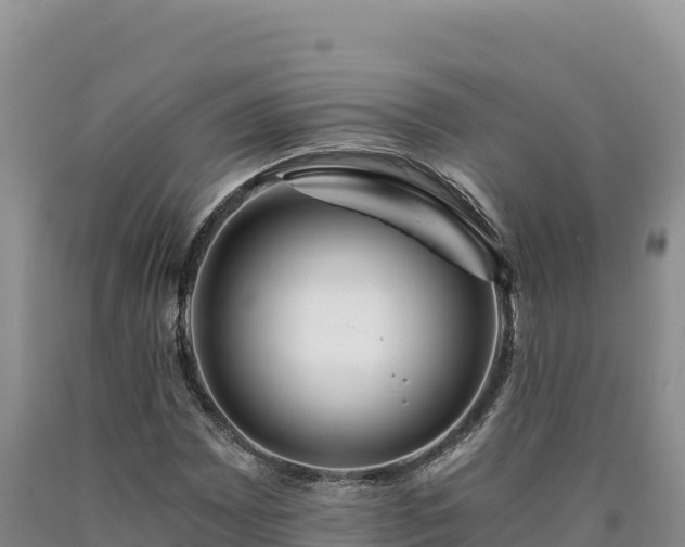X0000090721065200707271148