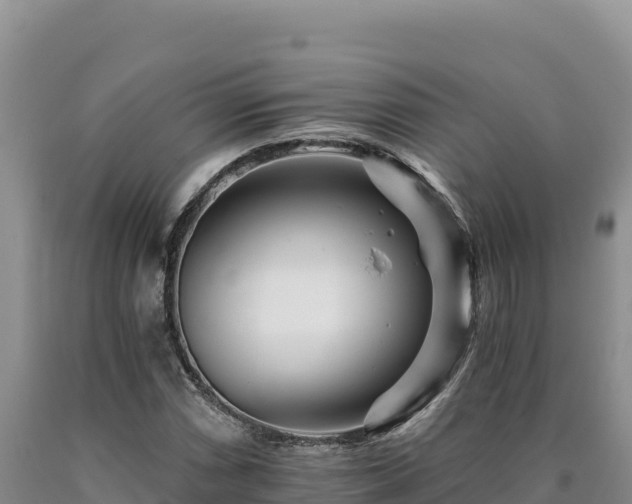 X0000090721066200707271148