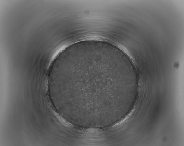 X0000090721067200707271148