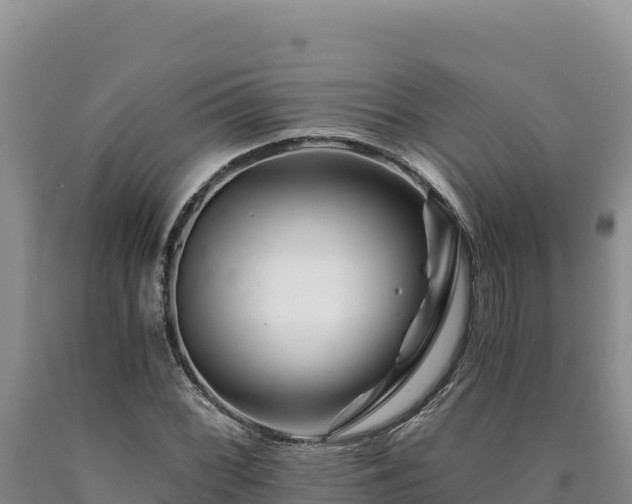 X0000090721068200707271148