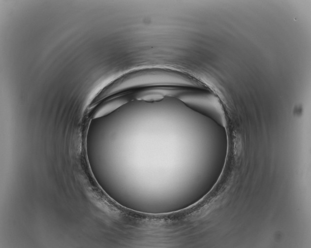 X0000090721069200707271148