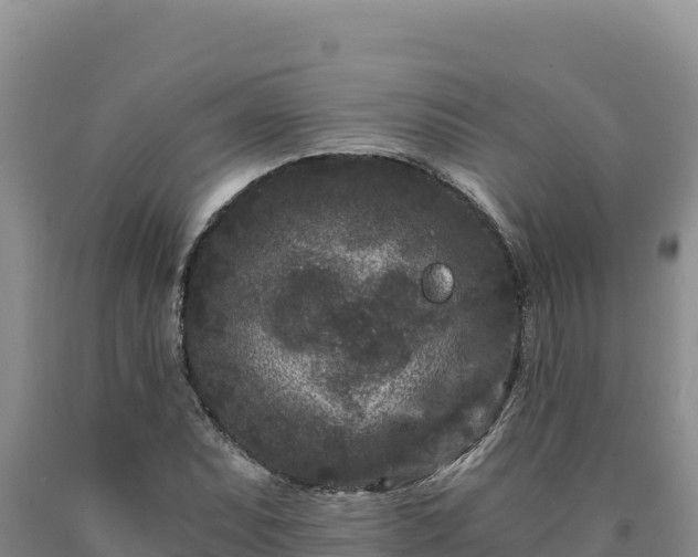 X0000090721071200707271148