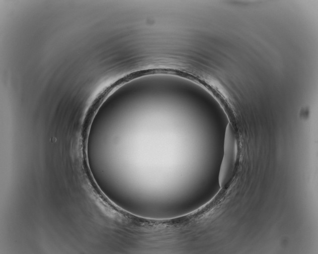 X0000090721072200707271148