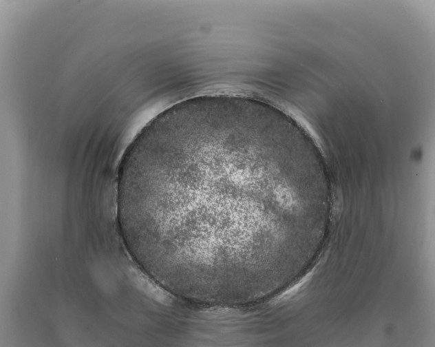 X0000090721075200707271148