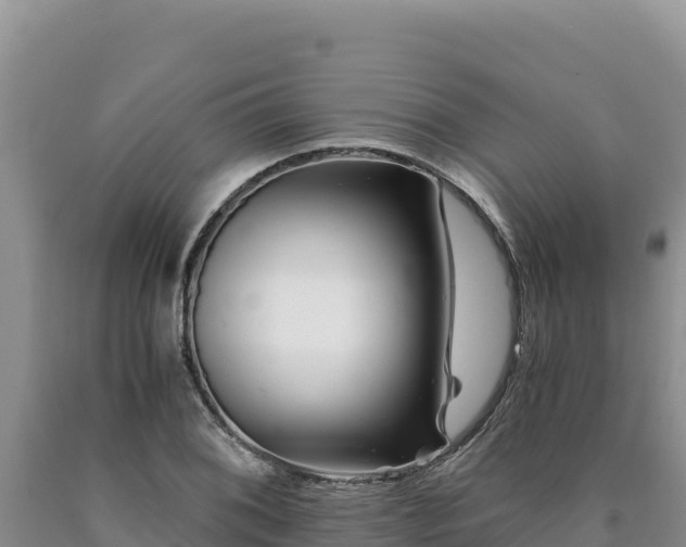 X0000090721076200707271148