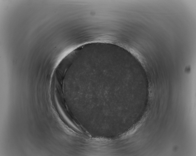 X0000090721077200707271147