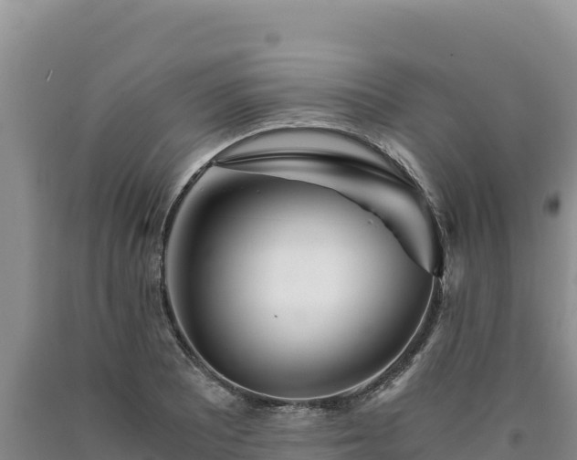 X0000090721081200707271147