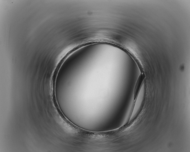 X0000090721082200707271147