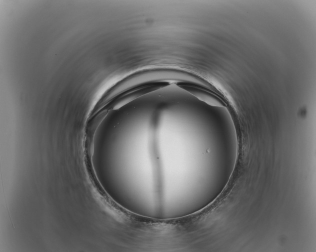 X0000090721085200707271147