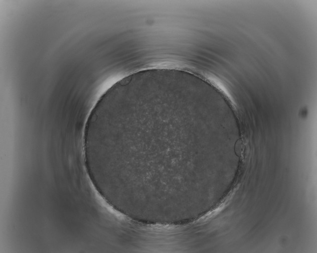 X0000090721087200707271147