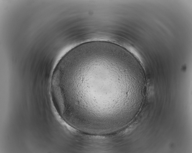 X0000090721088200707271147