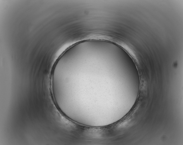 X0000090721094200707271147