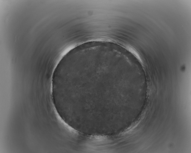 X0000090721095200707271147