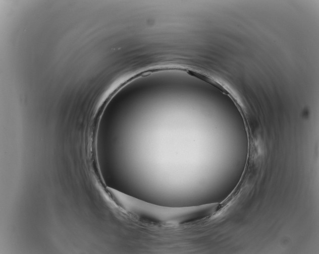 X0000090721101200707271147