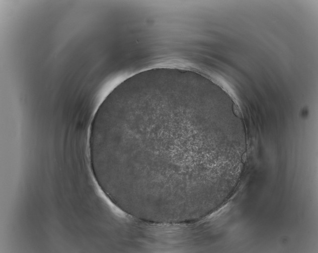 X0000090721103200707271147