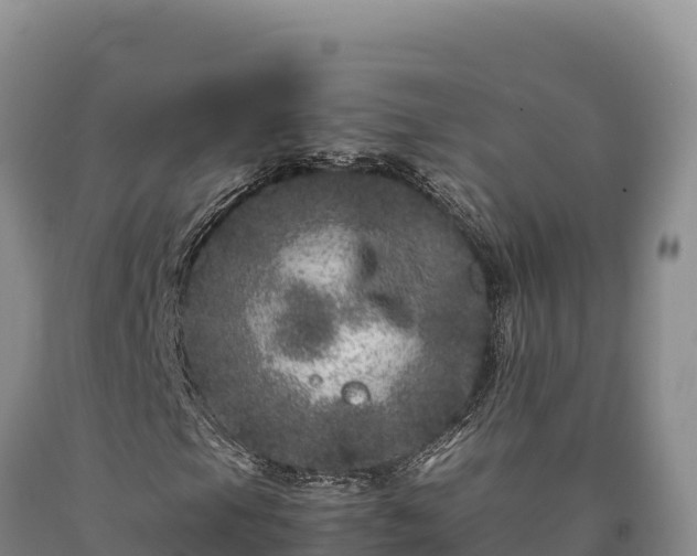 X0000090721105200707271147
