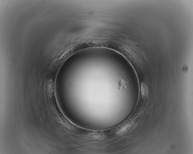 X0000090721107200707271147