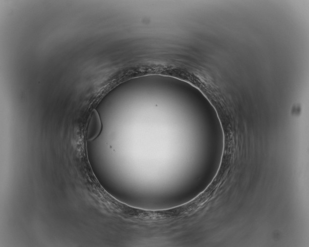 X0000090721109200707271147