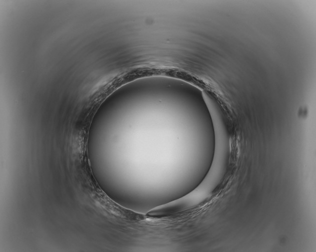 X0000090721110200707271147